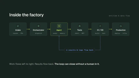 Slide 6
